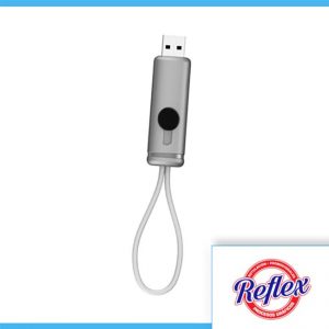 USB GRENOBLE 16 GB COLOR PLATA USB 135 S Reflex Puebla - 1